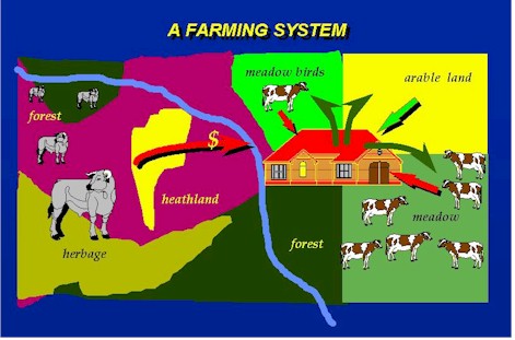 plaatjes farming system.jpg (66299 Byte)